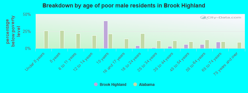 Breakdown by age of poor male residents in Brook Highland