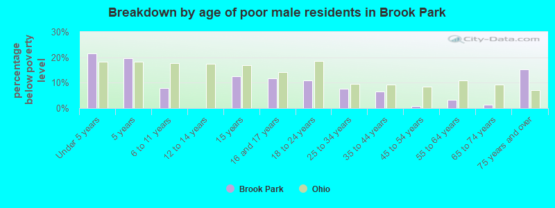 Breakdown by age of poor male residents in Brook Park