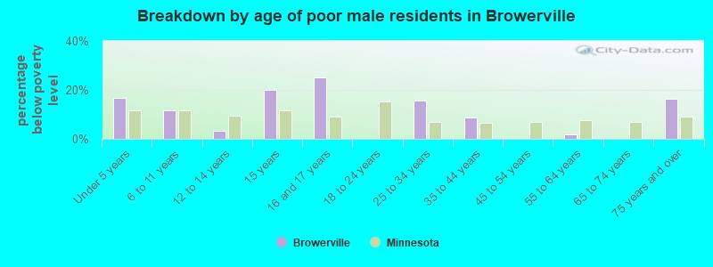 Breakdown by age of poor male residents in Browerville