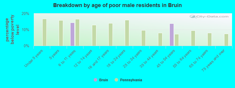 Breakdown by age of poor male residents in Bruin