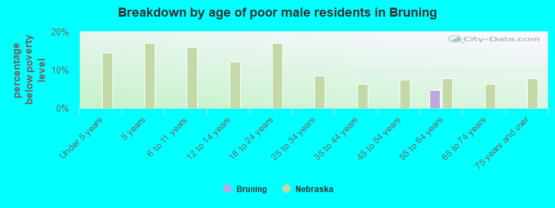 Breakdown by age of poor male residents in Bruning