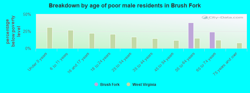 Breakdown by age of poor male residents in Brush Fork