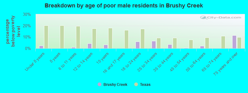 Breakdown by age of poor male residents in Brushy Creek