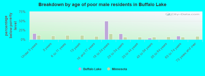 Breakdown by age of poor male residents in Buffalo Lake