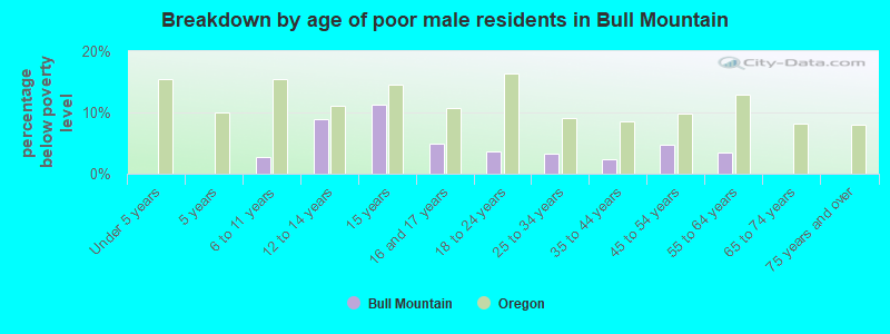 Breakdown by age of poor male residents in Bull Mountain