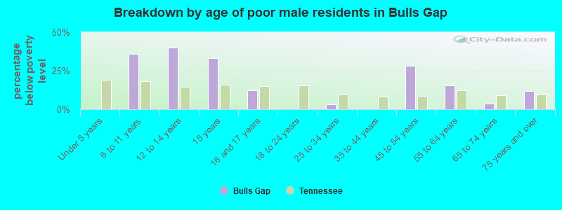 Breakdown by age of poor male residents in Bulls Gap