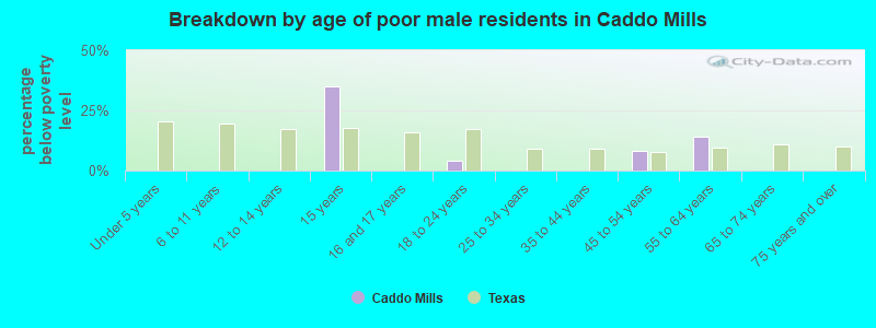 Breakdown by age of poor male residents in Caddo Mills