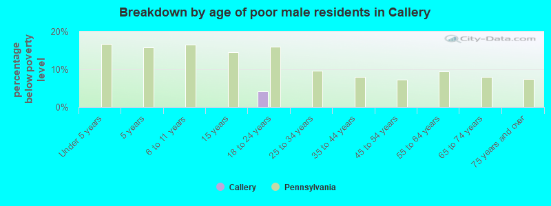 Breakdown by age of poor male residents in Callery