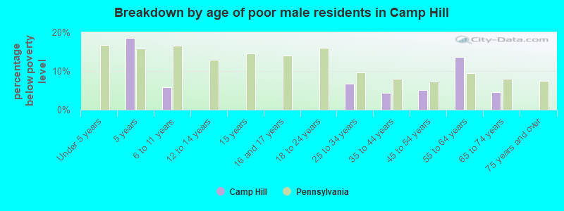 Breakdown by age of poor male residents in Camp Hill