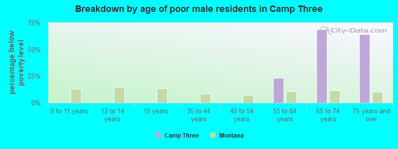 Breakdown by age of poor male residents in Camp Three