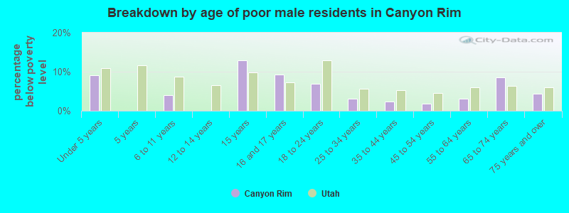 Breakdown by age of poor male residents in Canyon Rim