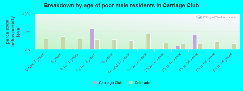 Breakdown by age of poor male residents in Carriage Club