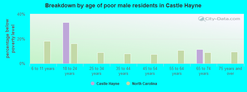 Breakdown by age of poor male residents in Castle Hayne
