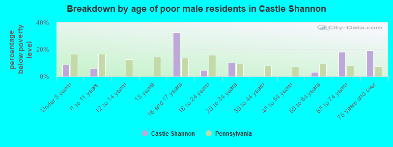 Breakdown by age of poor male residents in Castle Shannon