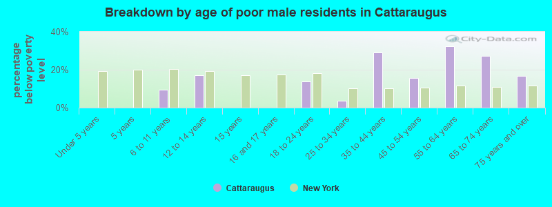 Breakdown by age of poor male residents in Cattaraugus