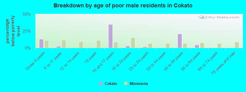 Breakdown by age of poor male residents in Cokato