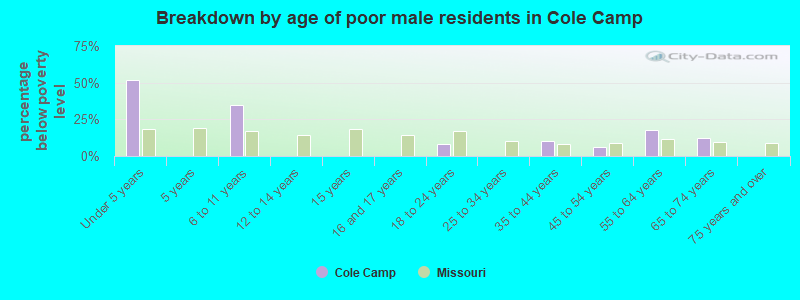Breakdown by age of poor male residents in Cole Camp