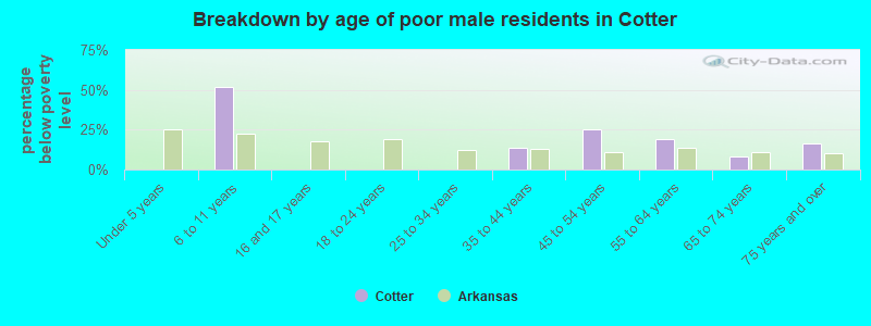 Breakdown by age of poor male residents in Cotter