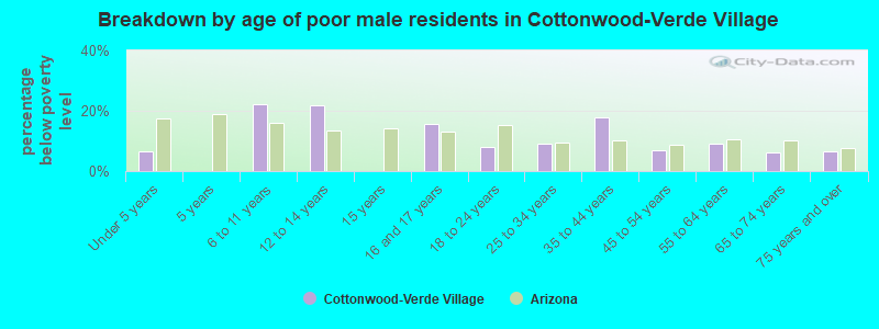 Breakdown by age of poor male residents in Cottonwood-Verde Village