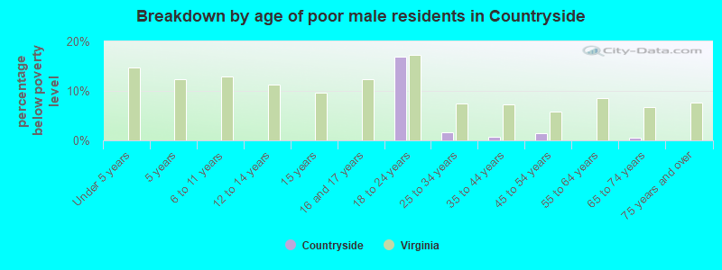 Breakdown by age of poor male residents in Countryside