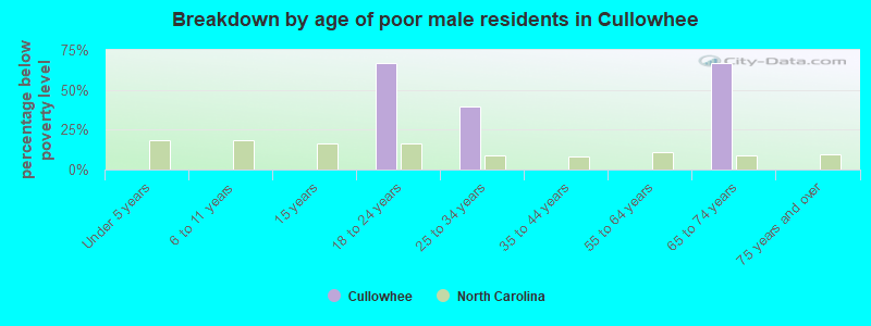 Breakdown by age of poor male residents in Cullowhee