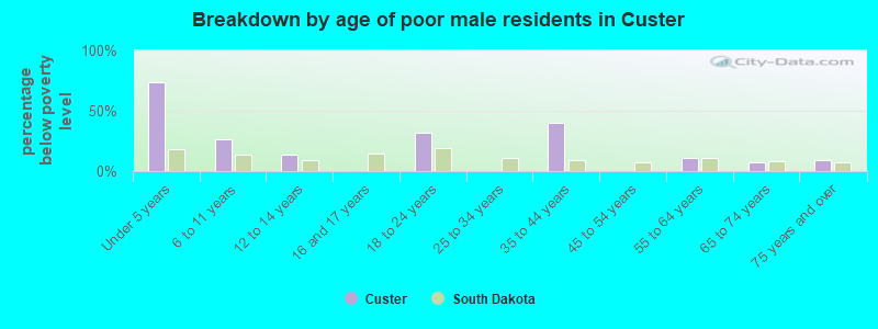 Breakdown by age of poor male residents in Custer