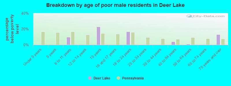 Breakdown by age of poor male residents in Deer Lake