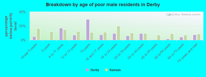 Breakdown by age of poor male residents in Derby