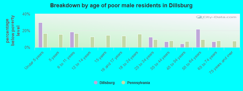 Breakdown by age of poor male residents in Dillsburg