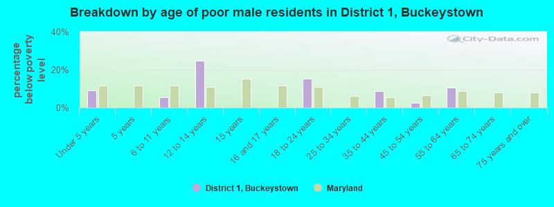 Breakdown by age of poor male residents in District 1, Buckeystown