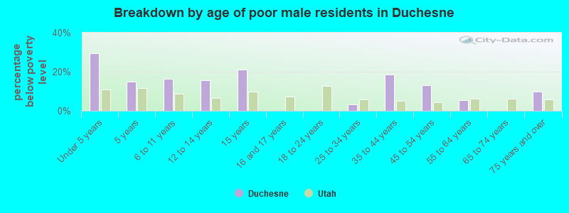 Breakdown by age of poor male residents in Duchesne