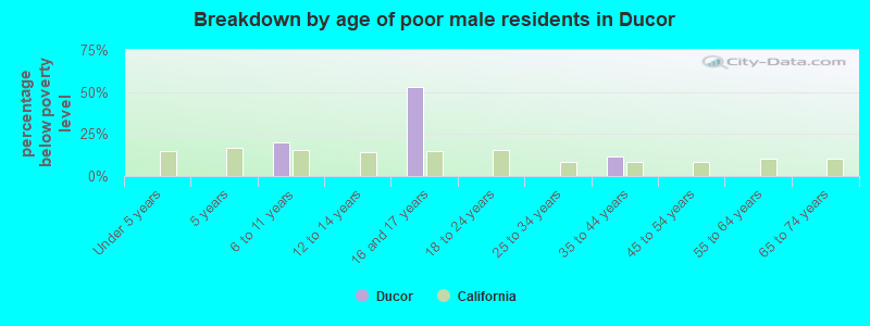 Breakdown by age of poor male residents in Ducor