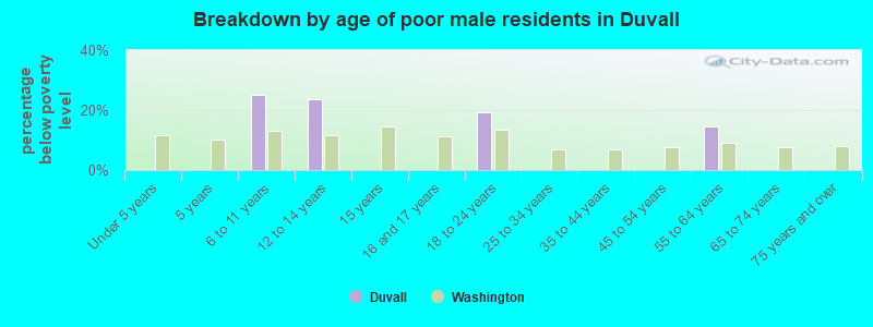 Breakdown by age of poor male residents in Duvall