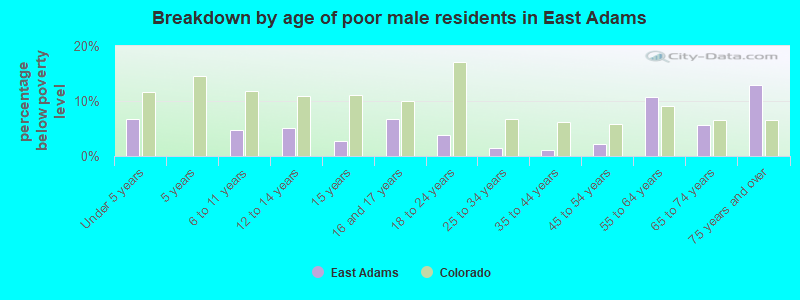Breakdown by age of poor male residents in East Adams