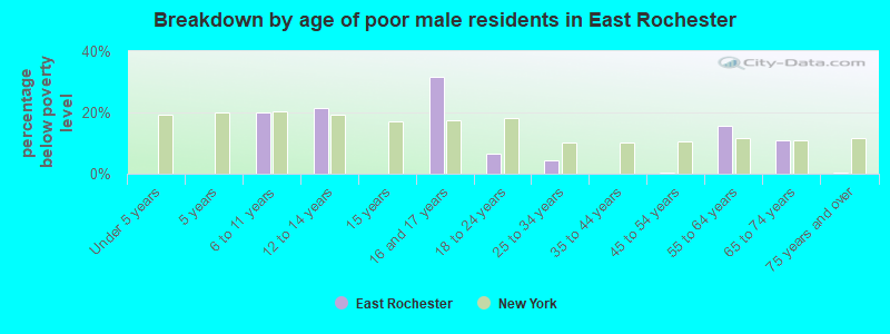 Breakdown by age of poor male residents in East Rochester