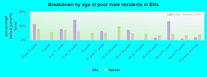 Breakdown by age of poor male residents in Ellis