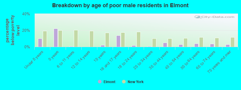 Breakdown by age of poor male residents in Elmont