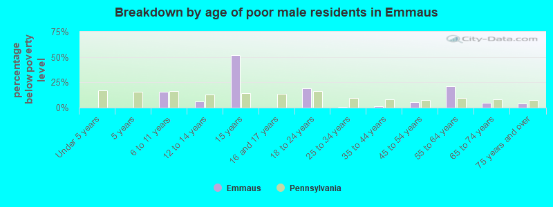 Breakdown by age of poor male residents in Emmaus