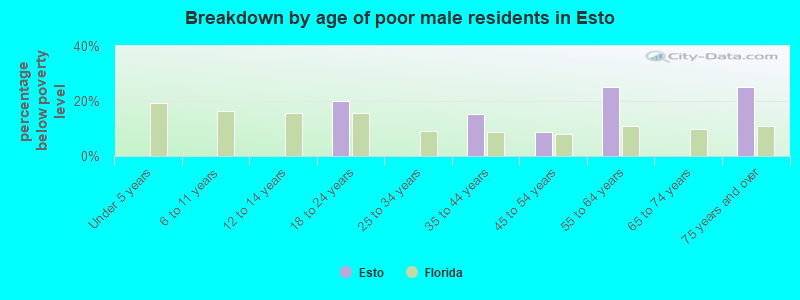 Breakdown by age of poor male residents in Esto