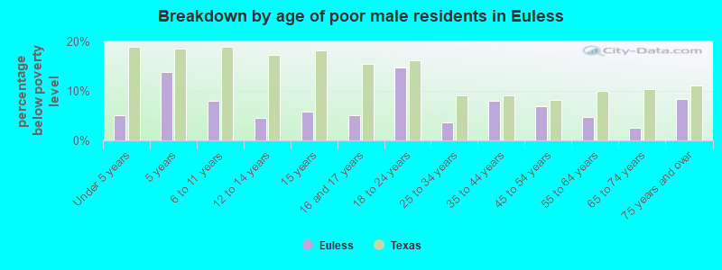 Breakdown by age of poor male residents in Euless