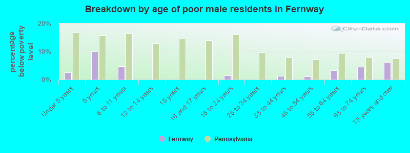 Breakdown by age of poor male residents in Fernway