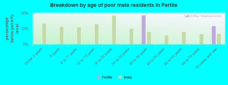 Breakdown by age of poor male residents in Fertile