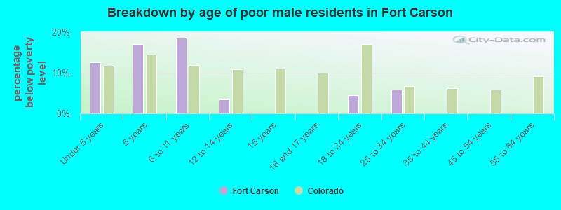 Breakdown by age of poor male residents in Fort Carson