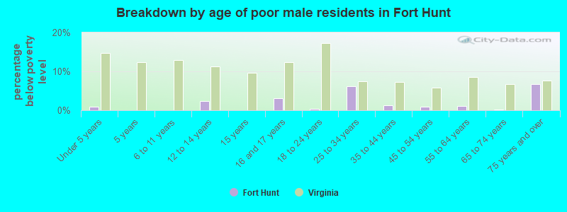 Breakdown by age of poor male residents in Fort Hunt