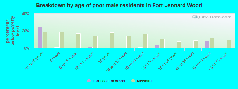 Breakdown by age of poor male residents in Fort Leonard Wood