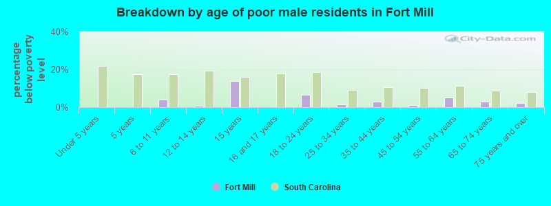 Breakdown by age of poor male residents in Fort Mill