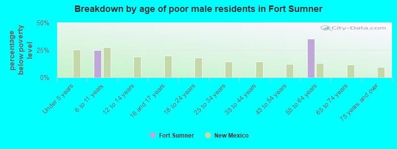 Breakdown by age of poor male residents in Fort Sumner