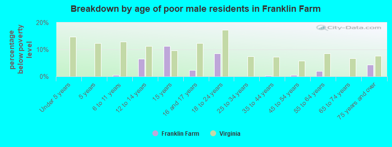 Breakdown by age of poor male residents in Franklin Farm