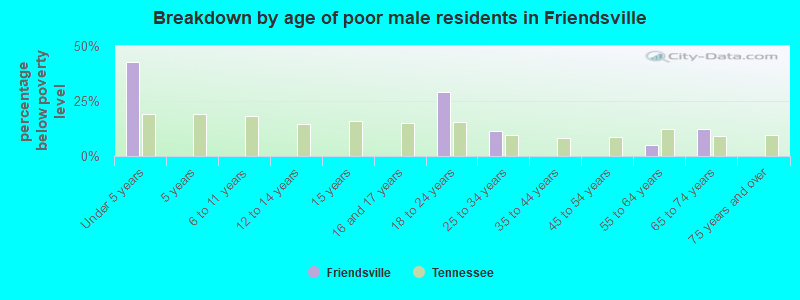 Breakdown by age of poor male residents in Friendsville