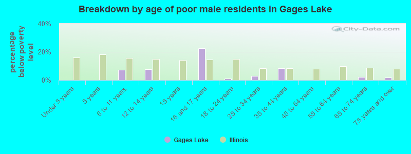 Breakdown by age of poor male residents in Gages Lake